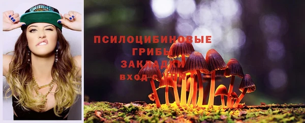 соль ск Балахна