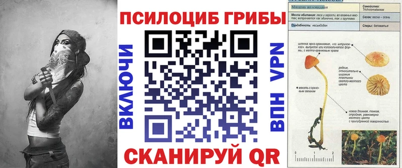 Галлюциногенные грибы ЛСД блэк спрут онион Новый Уренгой