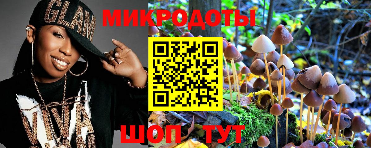 Псилоцибиновые грибы Cubensis Новый Уренгой