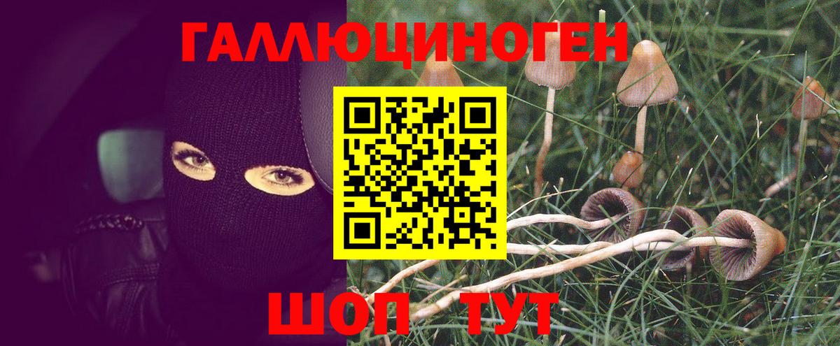 Псилоцибиновые грибы Psilocybe  Вход с VPN  Галлюциногенные грибы Psilocybine cubensis  Новый Уренгой 